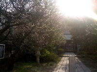 Fujisawa-Shi-20130310-00131.jpg